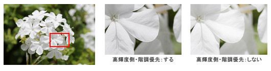 製品写真：キヤノン EOS KISS X50