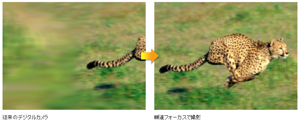 瞬速フォーカス