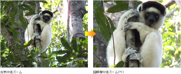 製品写真：フジフイルム  X-S1