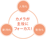 ギャップマイクロレンズ概念図