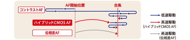 ギャップマイクロレンズ概念図