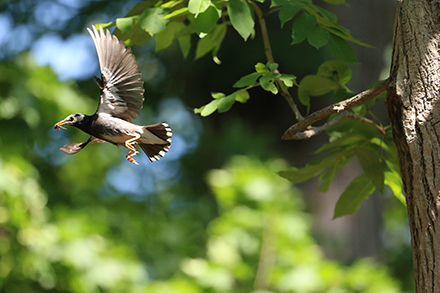 オールクロス65点AFセンサー
