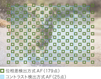 179点像面位相差AFセンサー