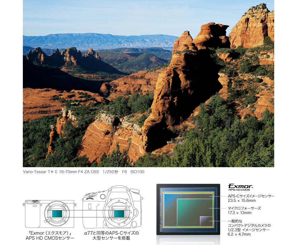 有効約2430万画素APS-Cセンサー