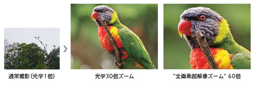 24mm-720mmの撮影領域を実現