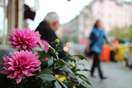 背景ボケがかんたんキレイ。