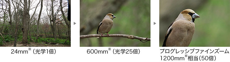 描写力を追求「光学25倍ズーム」「プログレッシブファインズーム50倍」