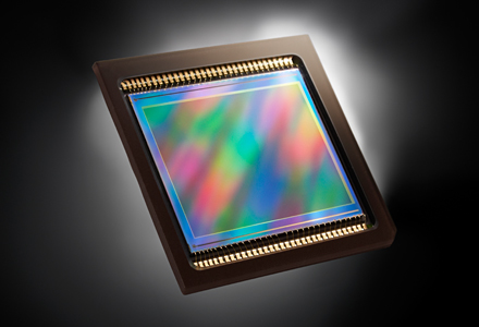 EOSのAPS-Cにせまる大型センサー