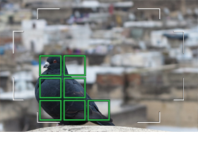 瞬間を逃さず、シャッターチャンスに