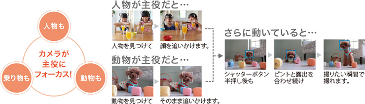 写真の主役を自動でキャッチ。動いていてもピントはバッチリ