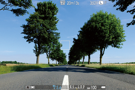 最速・最大・最高精細、小型コンパクトズームカメラ史上最高（*1）のリアルタイムビューファインダー