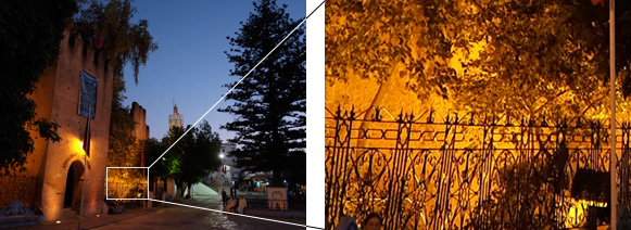 暗い場所でもノイズと手ブレを防ぐ高感度性能