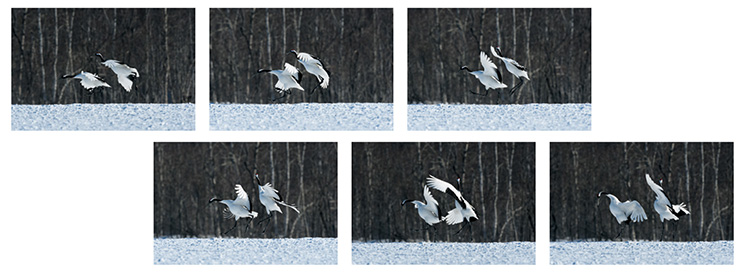 約6コマ/秒で止まらずに100コマまで撮り続ける余裕のバッファー容量【NEW】