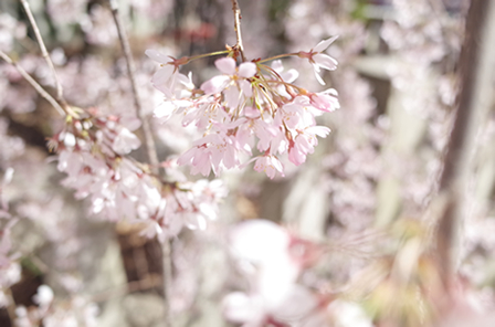 ON/OFF/AUTOが設定可能なNDフィルター。