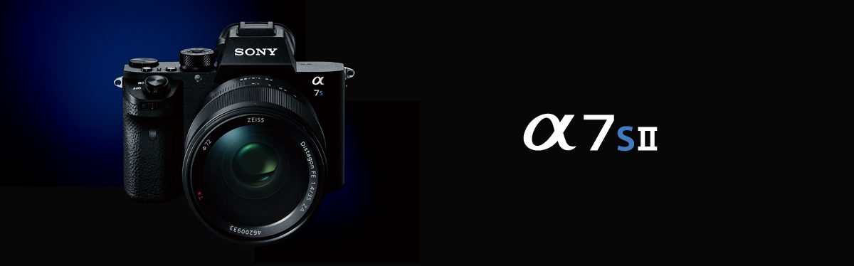 【ショット数、僅か4,066枚】ソニー SONY α7 Ⅱ α7 主な仕様 | デジタル一眼カメラα（アルファ） | ソニー