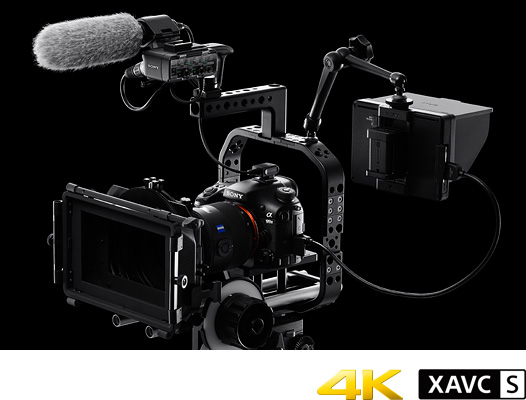 高解像4K動画とプロの要求に応える多彩な動画機能