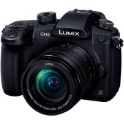 Panasonic LUMIX DC-GH5美品 動作確 認済シャッター LUMIX DC-GH5S | カメラボディーを探す | フォーサーズ