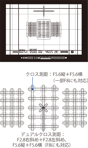 動体も、小さな被写体も、逃さず写真へ。高速・高精度AF。