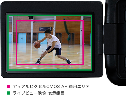 液晶を見ながら瞬間を捉える。進化したライブビュー撮影。