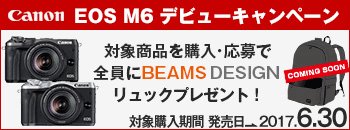 期間限定BEAMSバッグプレゼント