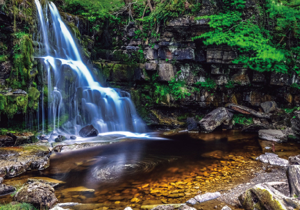 フィルムシミュレーション適用動画も可能