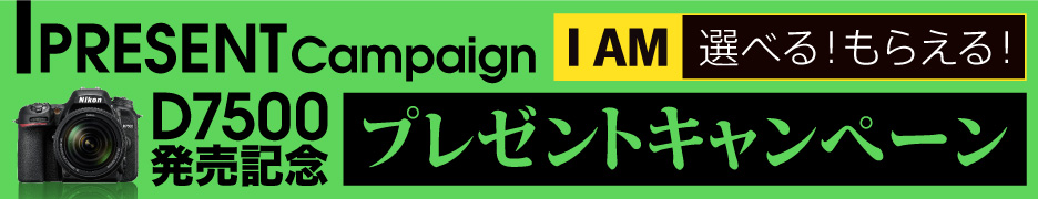 あなたの映像を、世界につなげよう「SnapBridge」