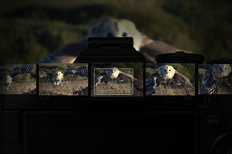 最高18コマ/秒のAF/AE追従連写