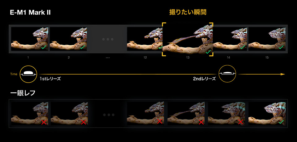 プロキャプチャーモード