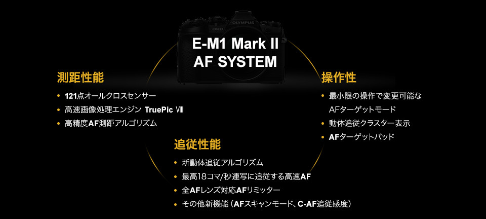 高速AFシステム