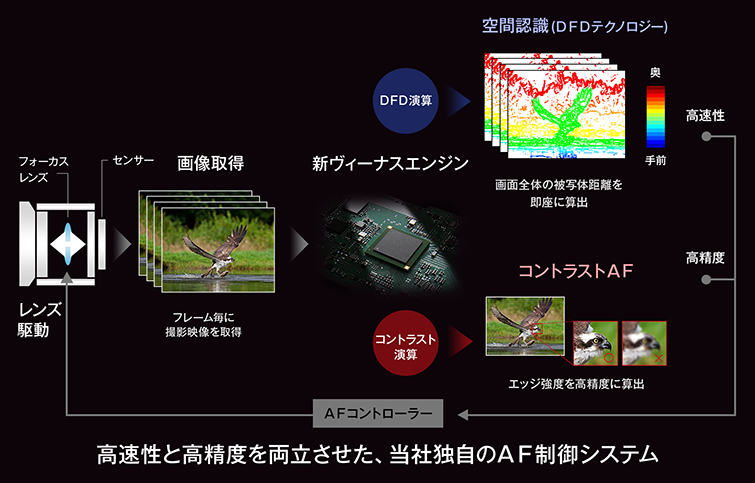 進化した空間認識AFにより、動く被写体の捕捉性能を革新的に向上