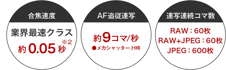 業界最速クラス約0.05秒※2 のAF速度と、約9コマ/秒の高速AF追従連写