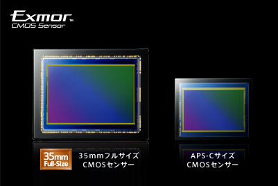 35mmフルサイズセンサーがもたらす圧倒的な高画質