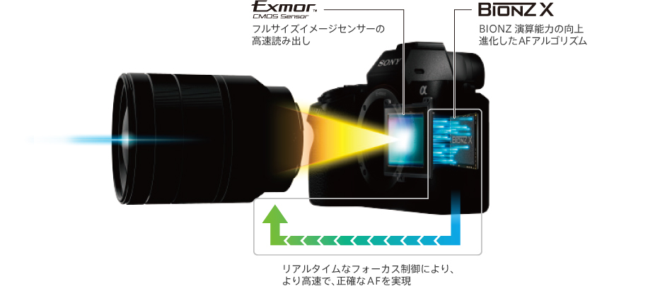 捕捉力と追随性をさらに高めた「ファストハイブリッドAF」