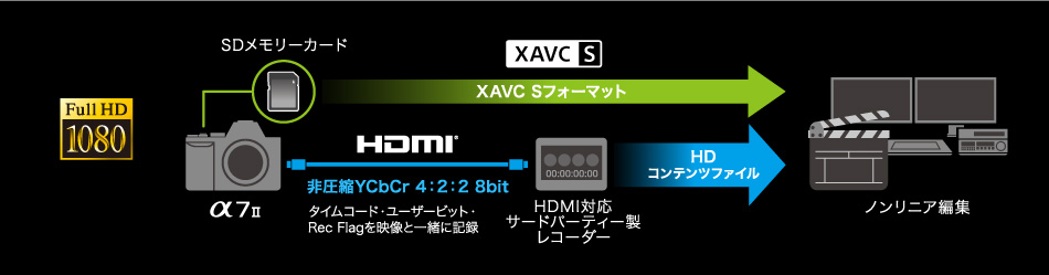 35mmフルサイズセンサーが映し出す高画質フルHD動画