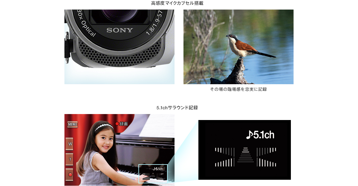臨場感あふれるサラウンド記録「5.1chサラウンドサウンドマイクロホン」