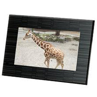 製品写真：フジフイルム デジタルフォトフレーム〔7インチ〕DP-701SHブラック