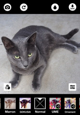 カメラマークタップで、撮影！