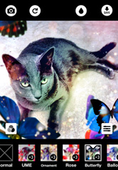 フィルターと色調補正で蜷川実花風に！