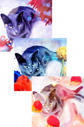 独特の世界観の写真ができました！