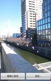 花びらの細かい設定ができます。