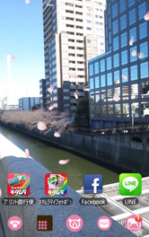 一足先に春が来たみたいですね。