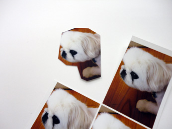 好きな形に切り抜いて使える「分割プリント」