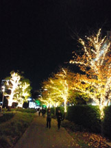 引きの写真は黒い空の面積が多くなり寂しげ