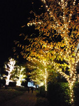 寄るだけで画面が明るく写真の印象も華やかに