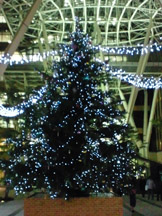 正面からだと平凡な印象