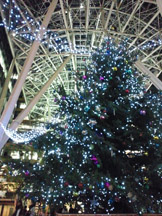 仰ぐことで自分の視点を再現