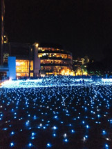 日没後:よく見るイルミネーション写真