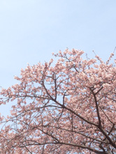 構える段階で画面に触れておく