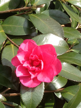 光を遮らずに撮った場合