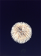 光跡の残るアプリ